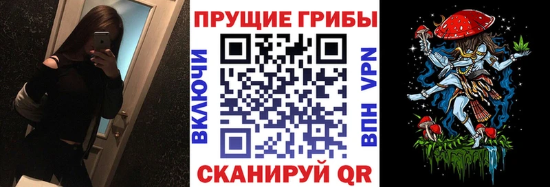 Псилоцибиновые грибы мицелий  Купить  Ставрополь 